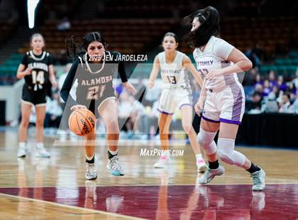 Thumbnail 2 in Alamosa vs. Holy Family (CHSAA 4A Great 8) photogallery.