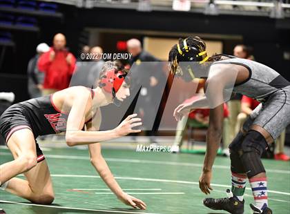 Thumbnail 3 in UIL State Championships - Session 3 photogallery.