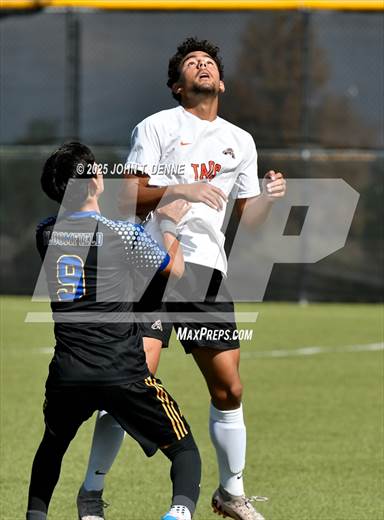null - Photo 11