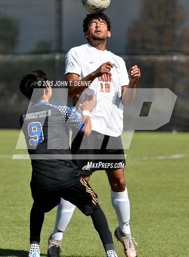 null - Photo 01