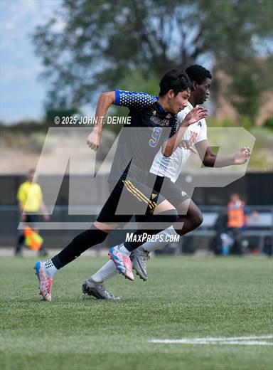 null - Photo 21