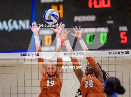 Thumbnail 2 in Kell @ Norcross photogallery.