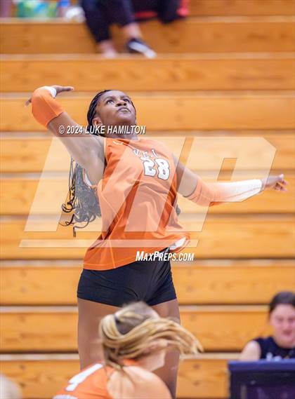 Thumbnail 2 in Kell @ Norcross photogallery.