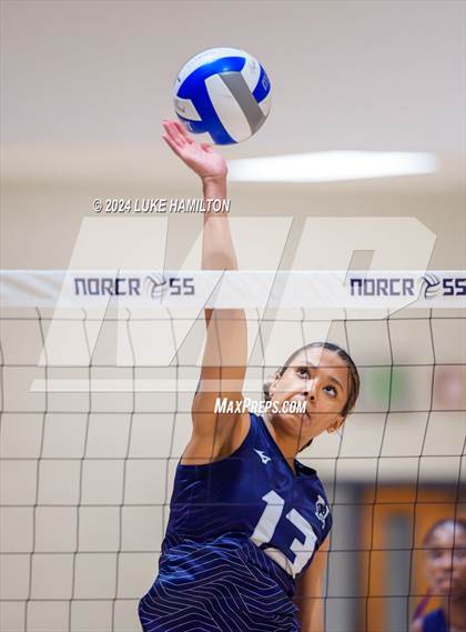 Thumbnail 1 in Kell @ Norcross photogallery.