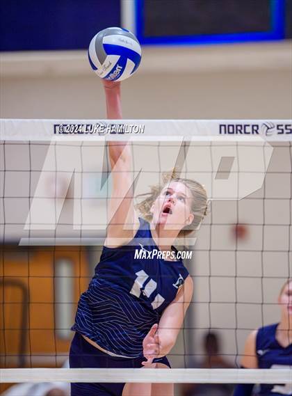 Thumbnail 2 in Kell @ Norcross photogallery.