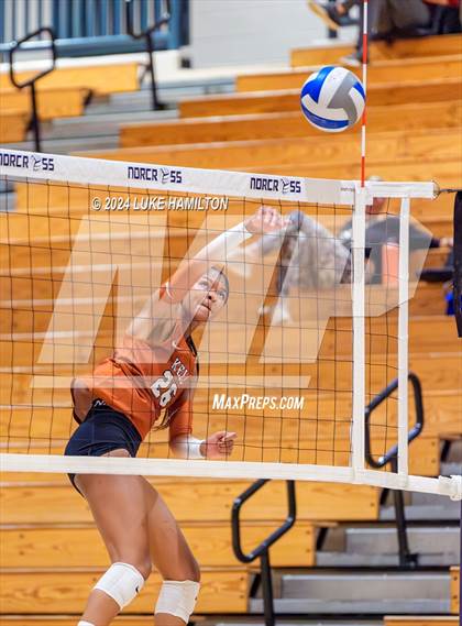 Thumbnail 1 in Kell @ Norcross photogallery.