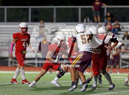 Thumbnail 2 in Collinsville @ Muenster photogallery.