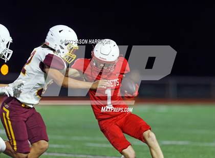 Thumbnail 3 in Collinsville @ Muenster photogallery.
