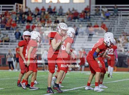 Thumbnail 3 in Collinsville @ Muenster photogallery.