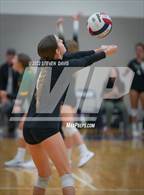 Photo from the gallery "Westwood vs. Scottsdale Christian Academy (Spiketown Invitational)"