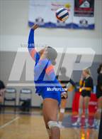Photo from the gallery "Westwood vs. Scottsdale Christian Academy (Spiketown Invitational)"