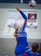 Photo from the gallery "Westwood vs. Scottsdale Christian Academy (Spiketown Invitational)"