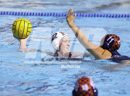 Thumbnail 3 in Brandeis vs. Marshall photogallery.