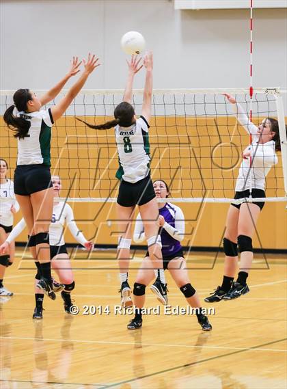 Thumbnail 2 in Issaquah @ Skyline photogallery.