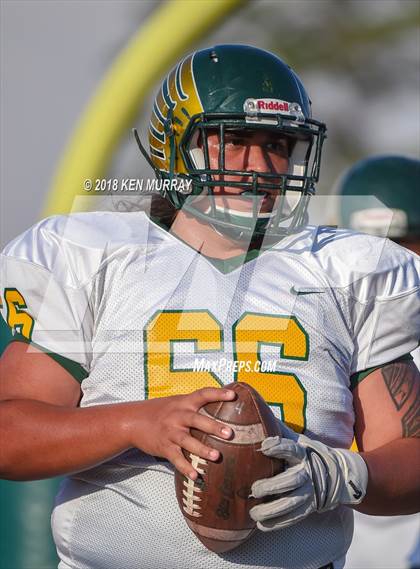 Thumbnail 1 in Klein Forest vs Klein Collins photogallery.