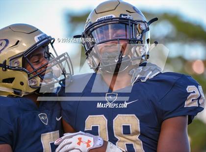 Thumbnail 1 in Klein Forest vs Klein Collins photogallery.