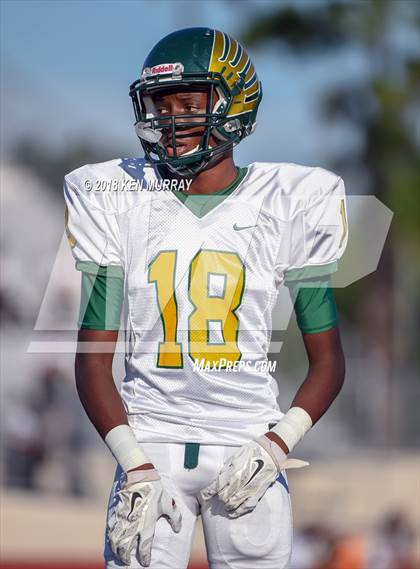 Thumbnail 1 in Klein Forest vs Klein Collins photogallery.
