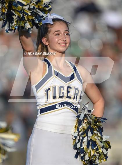 Thumbnail 1 in Klein Forest vs Klein Collins photogallery.