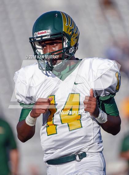 Thumbnail 2 in Klein Forest vs Klein Collins photogallery.