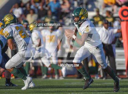 Thumbnail 1 in Klein Forest vs Klein Collins photogallery.