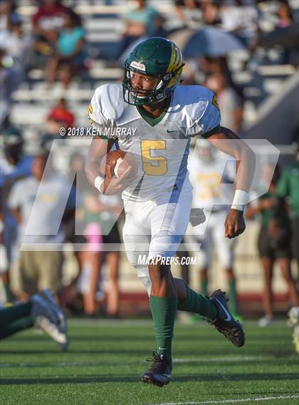 Thumbnail 2 in Klein Forest vs Klein Collins photogallery.
