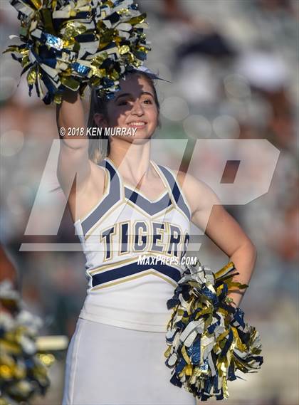 Thumbnail 3 in Klein Forest vs Klein Collins photogallery.