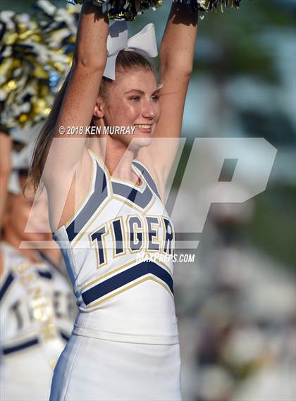 Thumbnail 2 in Klein Forest vs Klein Collins photogallery.