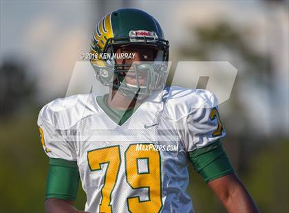 Thumbnail 3 in Klein Forest vs Klein Collins photogallery.