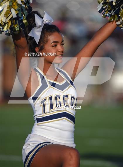 Thumbnail 3 in Klein Forest vs Klein Collins photogallery.