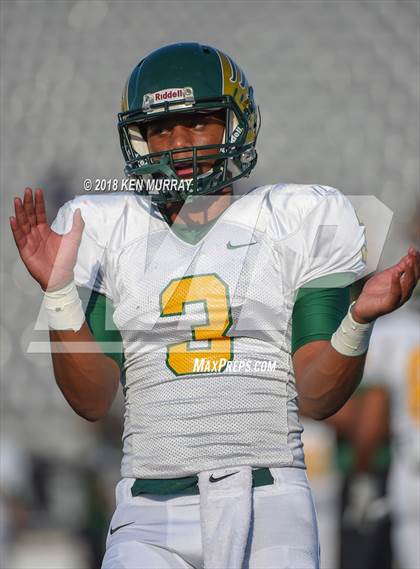 Thumbnail 1 in Klein Forest vs Klein Collins photogallery.