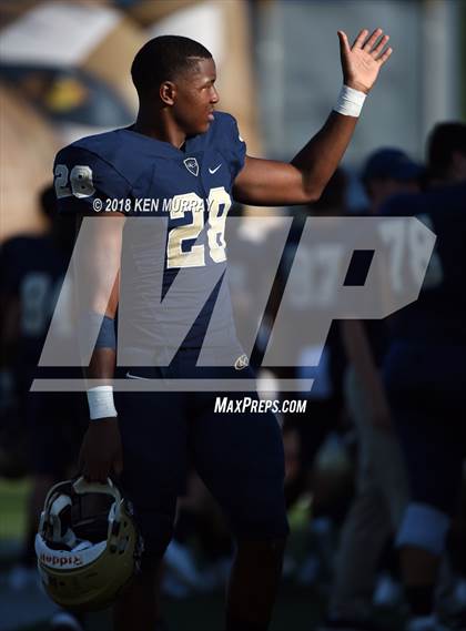 Thumbnail 1 in Klein Forest vs Klein Collins photogallery.