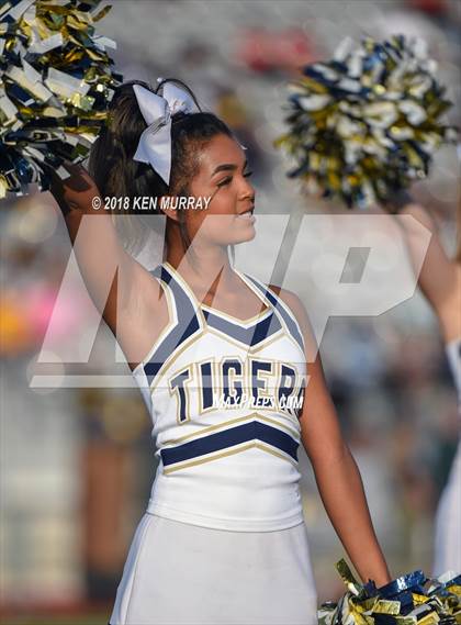 Thumbnail 1 in Klein Forest vs Klein Collins photogallery.