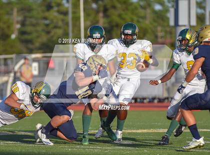 Thumbnail 2 in Klein Forest vs Klein Collins photogallery.
