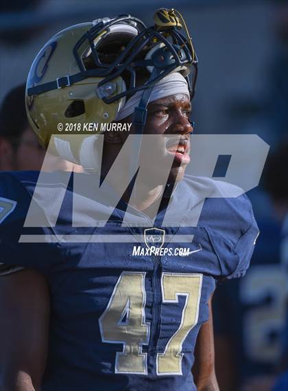 Thumbnail 1 in Klein Forest vs Klein Collins photogallery.
