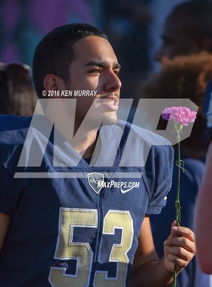 Thumbnail 3 in Klein Forest vs Klein Collins photogallery.