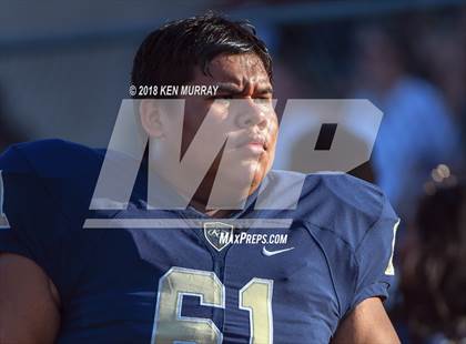 Thumbnail 1 in Klein Forest vs Klein Collins photogallery.