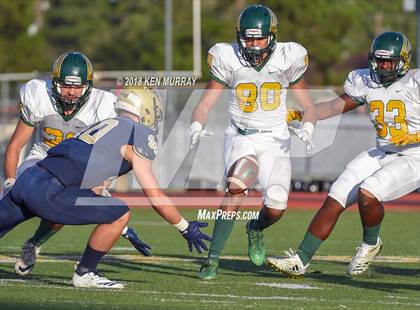 Thumbnail 1 in Klein Forest vs Klein Collins photogallery.