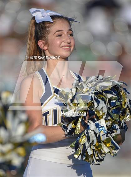 Thumbnail 2 in Klein Forest vs Klein Collins photogallery.