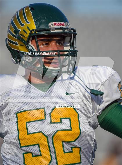 Thumbnail 3 in Klein Forest vs Klein Collins photogallery.
