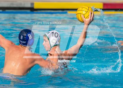 Thumbnail 2 in Los Altos @ Palo Alto (CIF-CCS Division 1 Boy Water Polo Championship) photogallery.