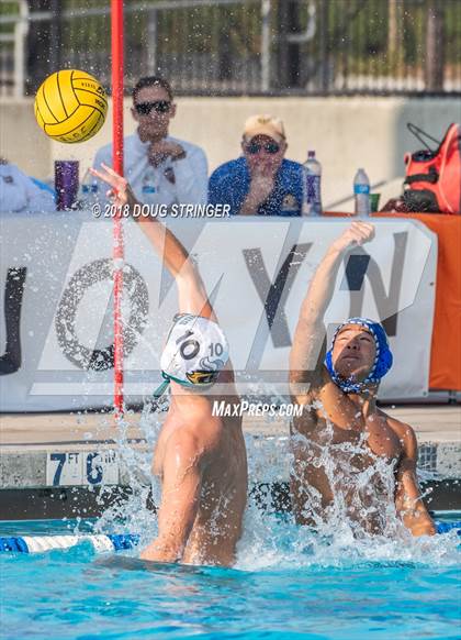 Thumbnail 3 in Los Altos @ Palo Alto (CIF-CCS Division 1 Boy Water Polo Championship) photogallery.