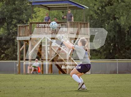 Thumbnail 3 in Franklin Road Academy @ Donelson Christian Academy photogallery.