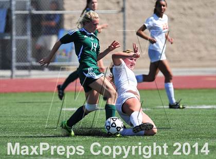 Thumbnail 3 in Cathedral Catholic vs. La Costa Canyon (CIF SoCal Regional D2 Final) photogallery.