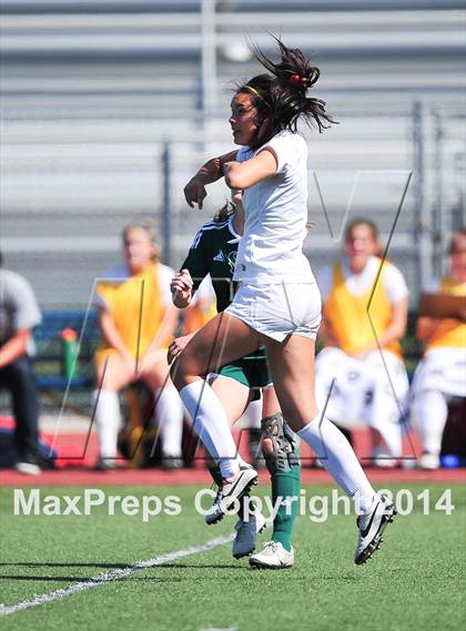 Thumbnail 2 in Cathedral Catholic vs. La Costa Canyon (CIF SoCal Regional D2 Final) photogallery.