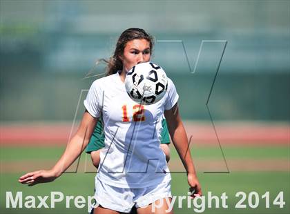 Thumbnail 1 in Cathedral Catholic vs. La Costa Canyon (CIF SoCal Regional D2 Final) photogallery.