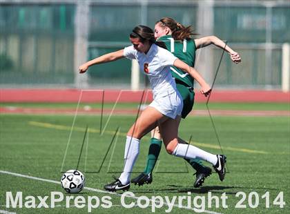 Thumbnail 2 in Cathedral Catholic vs. La Costa Canyon (CIF SoCal Regional D2 Final) photogallery.