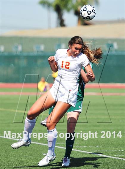 Thumbnail 3 in Cathedral Catholic vs. La Costa Canyon (CIF SoCal Regional D2 Final) photogallery.