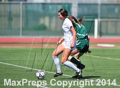 Thumbnail 1 in Cathedral Catholic vs. La Costa Canyon (CIF SoCal Regional D2 Final) photogallery.