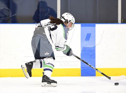 Thumbnail 2 in Williston @ Hotchkiss photogallery.