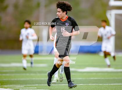 Thumbnail 3 in Conroe @ Grand Oaks photogallery.